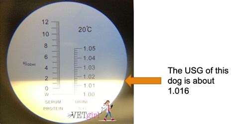 refractometer for dogs|refractometer how to read.